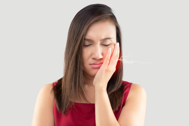 Temporomandibular joint